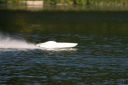 SAW_2012_0734.jpg