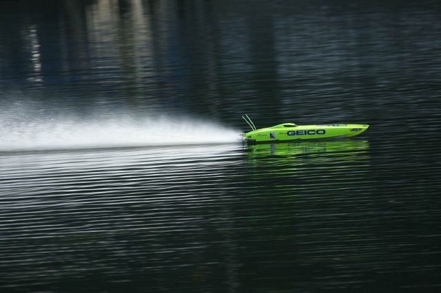 IMG_3594.jpg