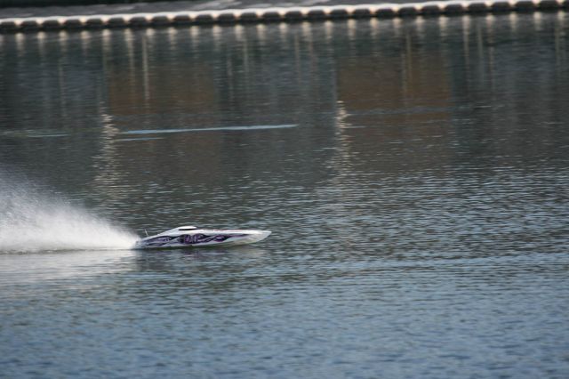 IMG_3681.jpg