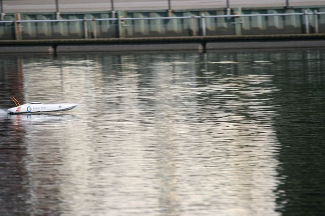 IMG_3931.jpg