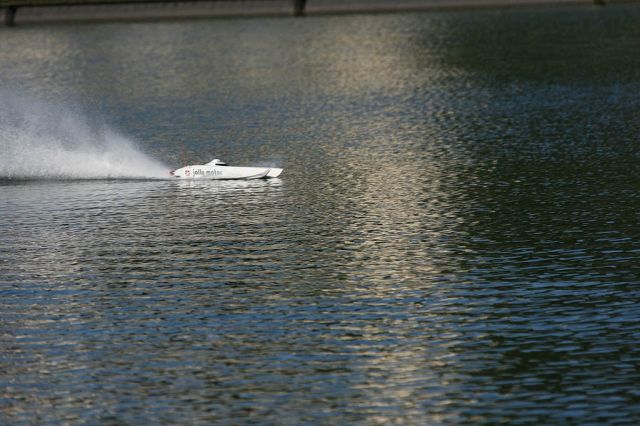 IMG_4038.jpg