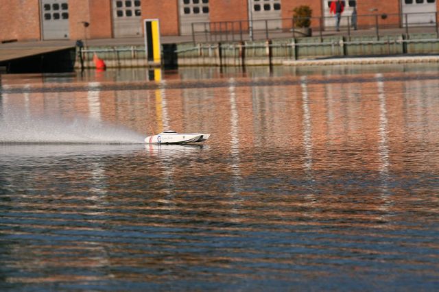 IMG_4083.jpg