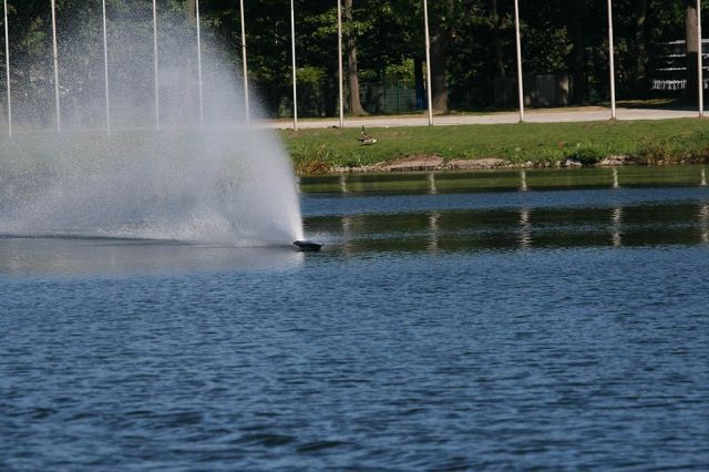 IMG_4446.jpg