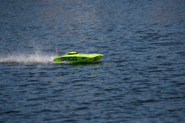 IMG_4631.jpg