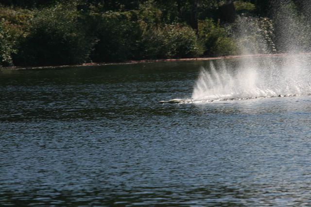 IMG_4634.jpg