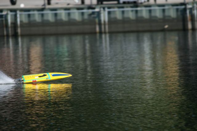 IMG_4742.jpg