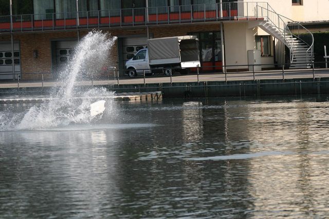 IMG_5754.jpg
