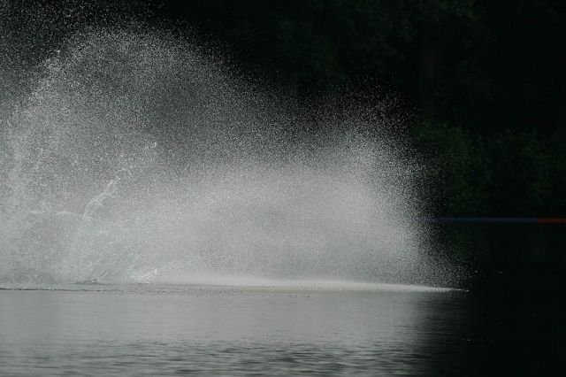 IMG_5765.jpg