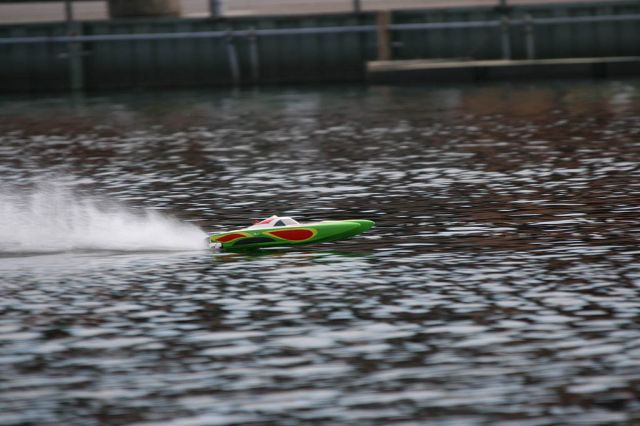 IMG_5979.jpg