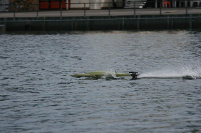 IMG_6085.jpg