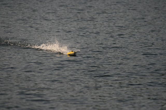 IMG_6896.jpg
