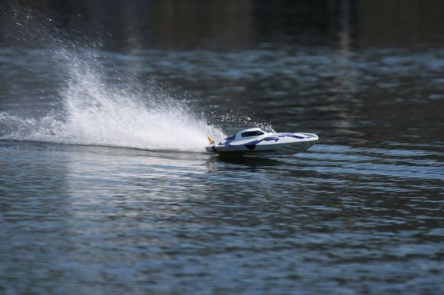 IMG_7936.JPG