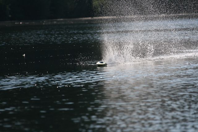 IMG_7978.JPG