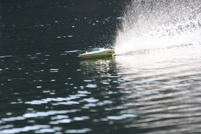 IMG_7984.JPG