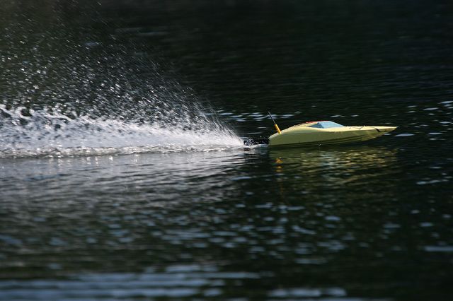 IMG_7993.JPG