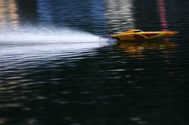IMG_8029.JPG