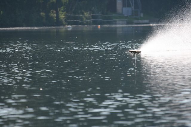 IMG_8039.JPG