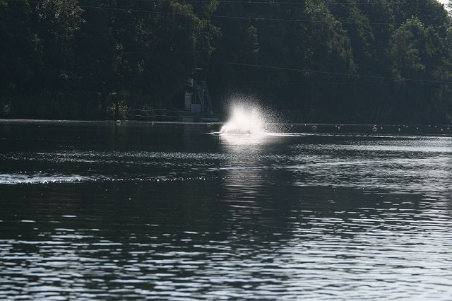 IMG_8067.JPG