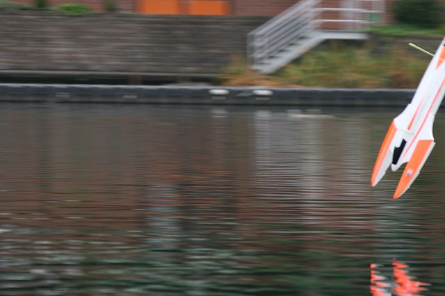 IMG_8943.JPG