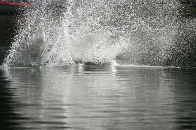 IMG_9049.JPG