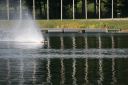 IMG_8348.JPG
