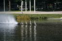 IMG_8391.JPG