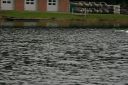 IMG_8621.JPG