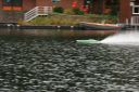 IMG_8623.JPG