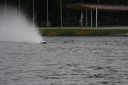 Dateiname=IMG_8761.JPG
Dateigröße=304KB
Abmessungen: 1024x683
hinzugefügt am: 08. Oktober 2015 IMG_8761.JPG