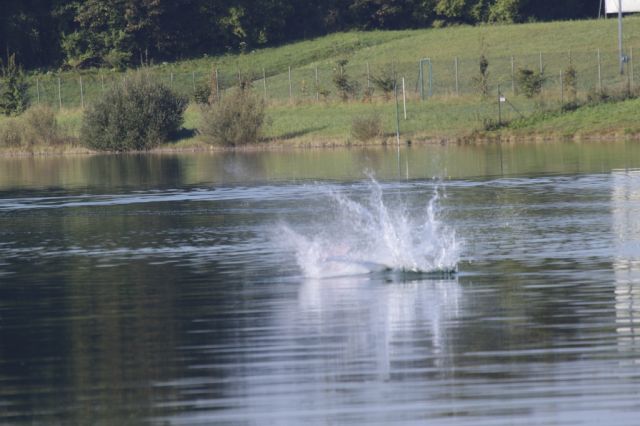 RC_SAW_Muenchen_201600001690.JPG
