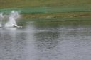 RC_SAW_Muenchen_201600000016.JPG