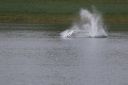 RC_SAW_Muenchen_201600000104.JPG