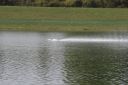 RC_SAW_Muenchen_201600000337.JPG