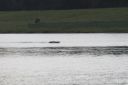 RC_SAW_Muenchen_201600000596.JPG