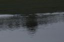RC_SAW_Muenchen_201600000654.JPG
