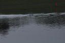 RC_SAW_Muenchen_201600000656.JPG