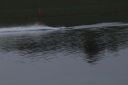 RC_SAW_Muenchen_201600000658.JPG
