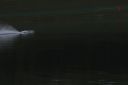 RC_SAW_Muenchen_201600000664.JPG
