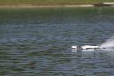 RC_SAW_Muenchen_201600000844.JPG