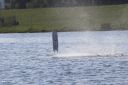 RC_SAW_Muenchen_201600001034.JPG