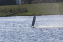 RC_SAW_Muenchen_201600001036.JPG