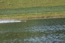 RC_SAW_Muenchen_201600001053.JPG