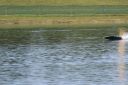 RC_SAW_Muenchen_201600001089.JPG