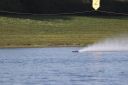RC_SAW_Muenchen_201600001239.JPG