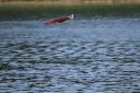 RC_SAW_Muenchen_201600001290.JPG
