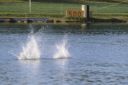 RC_SAW_Muenchen_201600001297.JPG