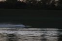 RC_SAW_Muenchen_201600001553.JPG