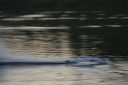 RC_SAW_Muenchen_201600001564.JPG
