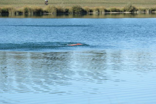 IMG_4410.JPG
