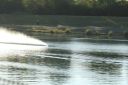 IMG_4575.JPG